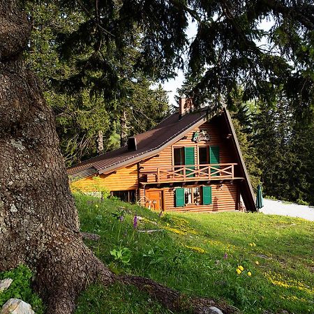 Chalet Alpinka سيركلجي نا جورينجسكيم المظهر الخارجي الصورة