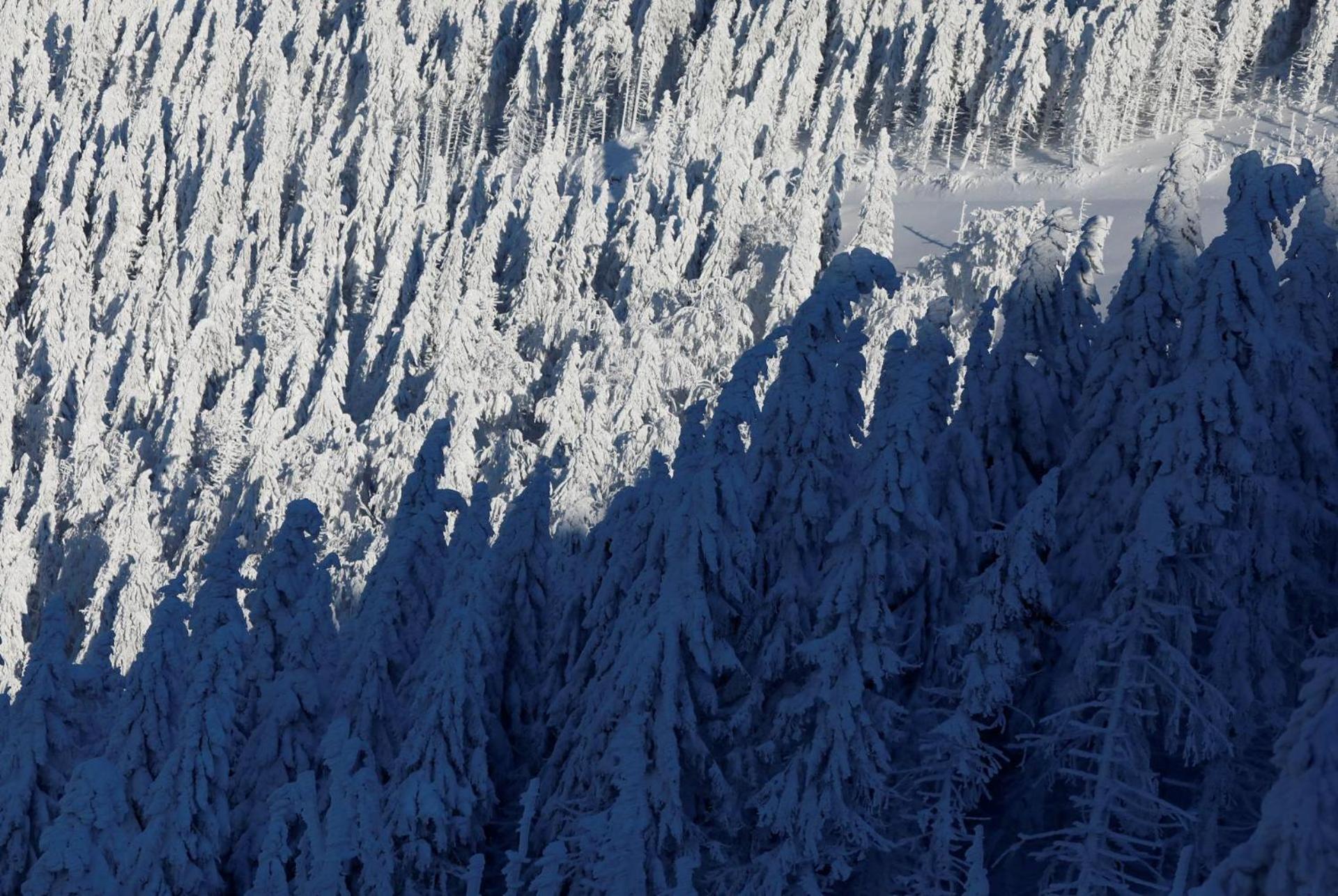 Chalet Alpinka سيركلجي نا جورينجسكيم المظهر الخارجي الصورة
