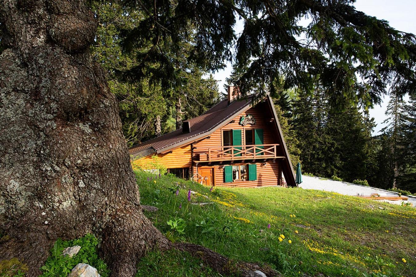 Chalet Alpinka سيركلجي نا جورينجسكيم المظهر الخارجي الصورة